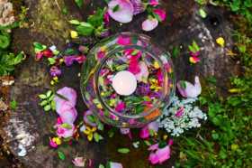 Flower petal & herb crafts